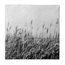 Buscar paisajes marinos azulejos Fotografía