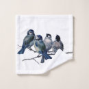 Buscar bluebirds Naturaleza