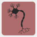 Buscar neuronas pegatinas Biología