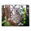 Buscar koala calendarios Naturaleza