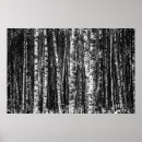 Buscar tree bark arte Abstract