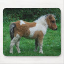 Buscar miniatura electronica Caballo