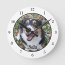 Buscar perros relojes de pared Foto de perro