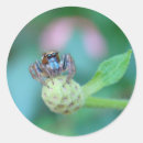 Buscar científico fotografía Fotografía de naturaleza