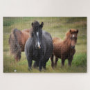 Buscar islandia puzzles Naturaleza