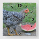Buscar aves de corral arte Gallina