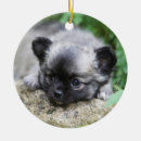 Buscar perrito de la chihuahua adornos Perritos