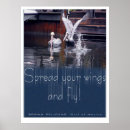 Buscar pelícano marrón posters Pelícanos