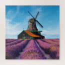 Buscar provence Lavanda