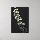 Buscar halcones posters Flores