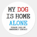 Buscar alan pegatinas Perro