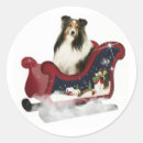 Buscar sheltie pegatinas Collie