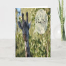 Buscar jirafas tarjetas General y unisex