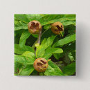 Buscar frutas chapas General y unisex