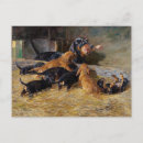 Buscar dachshunds postales Cachorro