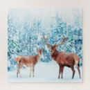 Buscar familia animal puzzles Paisaje