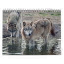 Buscar lobos calendarios Gris