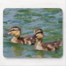 Buscar birder alfombrillas de raton Fauna