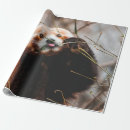 Buscar oso koala papel de regalo Lindo