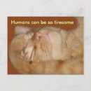 Buscar ser humano postales Para todos