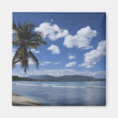 Buscar dominican republic imanes Palmera