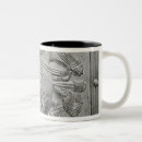Buscar del fragmento tazas Antigüedades