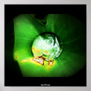 Buscar macro posters Verde