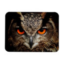 Buscar lechuza imanes Moderno