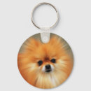 Buscar pomerania llaveros Animales
