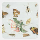 Buscar polilla pegatinas Escarabajo