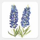 Buscar lupin pegatinas Texas