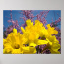 Buscar natura arte Flores
