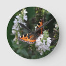 Buscar mariposas blancas relojes de pared Bonito
