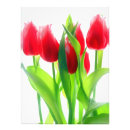 Buscar tulipán rojo y blanco posters General y unisex