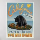 Buscar incendio forestal posters California