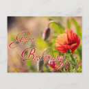 Buscar gute tarjetas Blumen