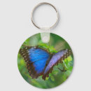 Buscar mariposa azul llaveros Colorido