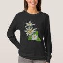 Buscar edelweiss ropa Austria