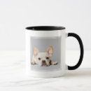 Buscar frenchies tazas Animales