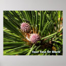 Buscar árbol de pino posters General y unisex