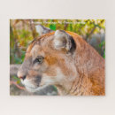 Buscar cazadores puzzles Para él