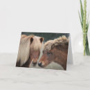 Buscar icelandic tarjetas Caballo