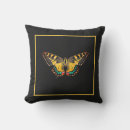 Buscar mariposas fotografía Moderno
