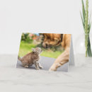 Buscar amor del gato tarjetas Animales