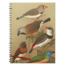 Buscar del árbol libretas Naturaleza
