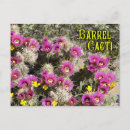 Buscar cactus del desierto postales Rosa