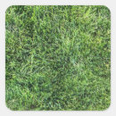 Buscar gras pegatinas General y unisex