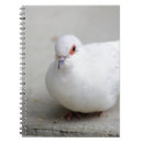 Buscar palomas cuadernos Pájaro