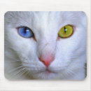 Buscar turco alfombrillas de raton Gato