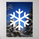 Buscar escamas posters Copo de nieve